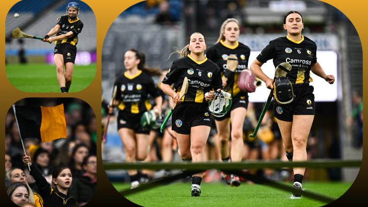 PICTURES: Champions Camross claim glory for Laois in Croke Park