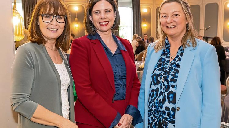 Well-known Laois County Council worker retires after 40 years of service