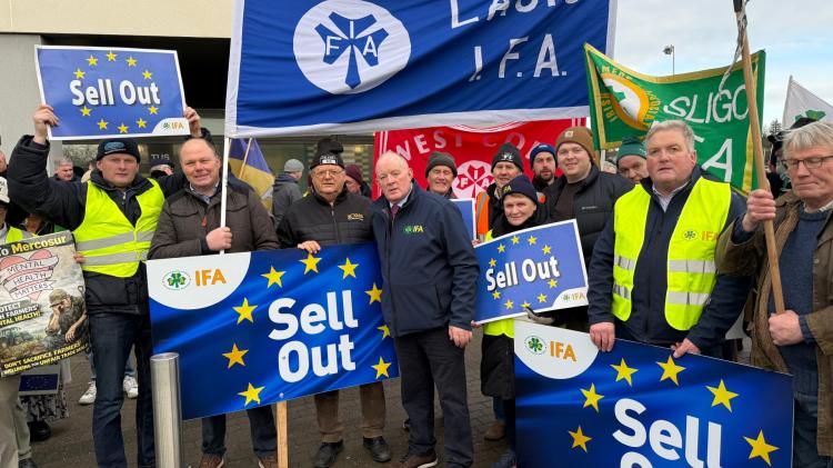 Laois representative insists Government needs to "get its act together" on Mercosur