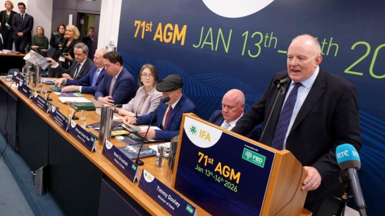 IFA laois francie gorman