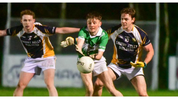 Crettyard finish strongly to take the points in Rosenallis