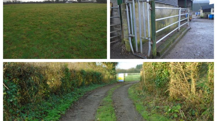 Substantial amount of Laois land leased at auction