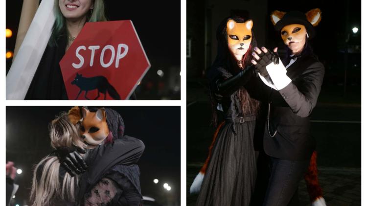 Anti-Hunt Ball demonstration held outside Laois Annual Hunt Ball venue
