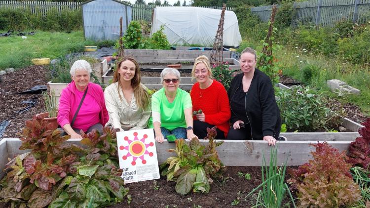 Green light as Portlaoise school offers to share site with new allotments