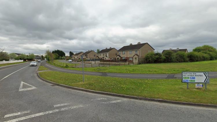 'Capping literally cleaved off' wall damage in Laois housing estate