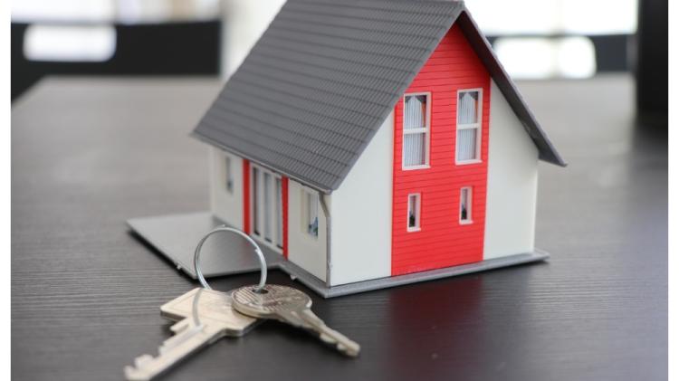 Laois councillor pushes back against party to oppose Government's rental reforms