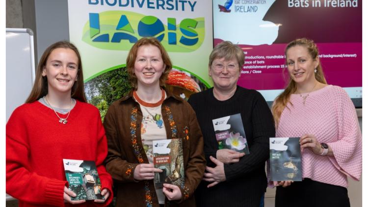 Meeting of first ever Bat Group in Laois a 'resounding success'