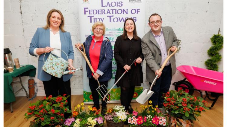 Tidy Towns groups from across Laois come together for AGM