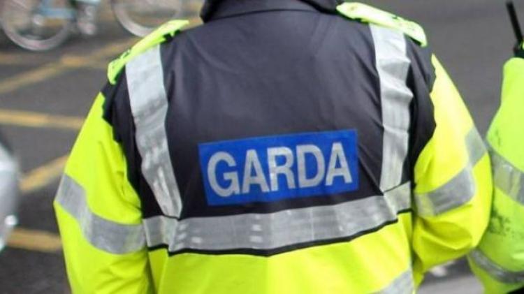 Laois Garda&iacute; issue appeal over trespass on property