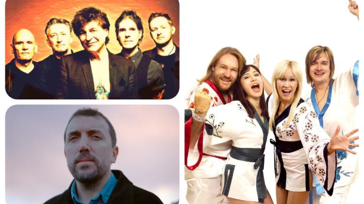 David Kitt, Chameleons among next wave of acts for Laois music festival