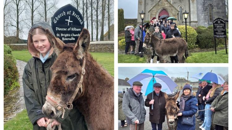 PICTURES: Special guest joins Laois parishioners on Palm Sunday