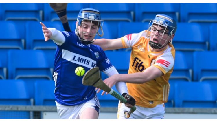 Cuddy leads the way as Laois minor hurlers secure Tier 1 spot in Leinster Championship