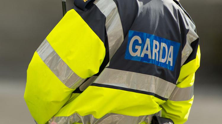 Number of garda&iacute; stationed in County Laois reached record high in 2025