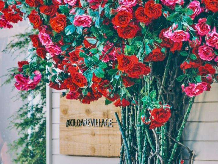 Kildare Village closes ‘until further notice’ due to Covid-19 ...