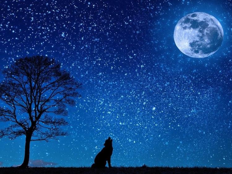 Rare blue moon over Laois this Halloween and astronomy Ireland would