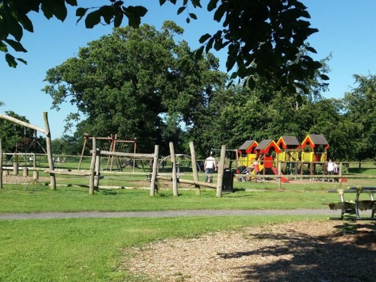 Call for more policing after Laois playground attacked by vandals