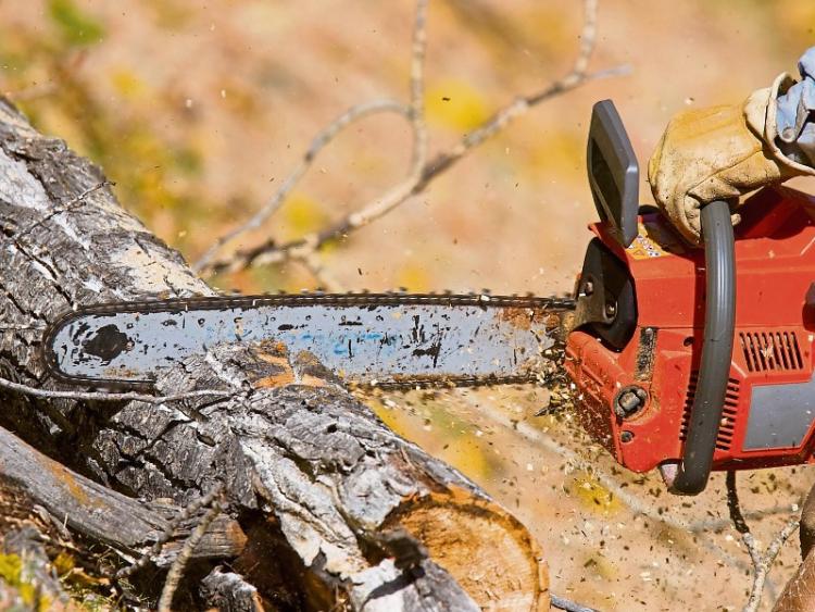 Laois firefighters could get chainsaw practice pruning trees Leinster