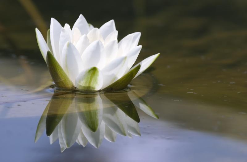 Coping with Bereavement 