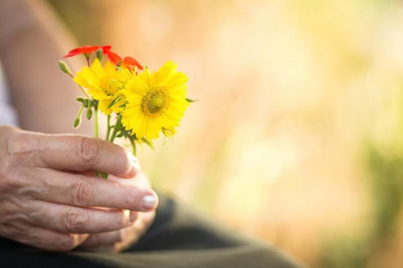 Support services for people who have been bereaved 
