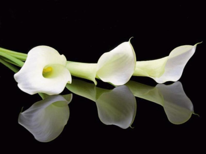 Deaths in Tipperary- Tuesday 1 December