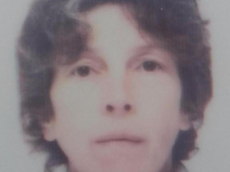 Gardaí locate missing German woman 