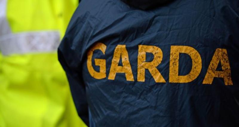 Gardai seize cocaine worth up to €35,000 in Ballinakill