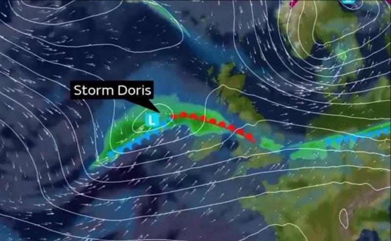 Storm Dorris