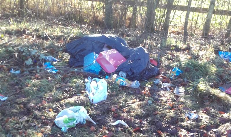 35 tonnes of illegally dumped waste removed from lovely Laois countryside