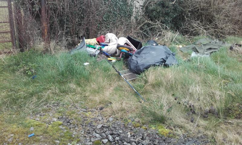 Laois litter detection team 'like MI5' in tracking down illegal dumpers