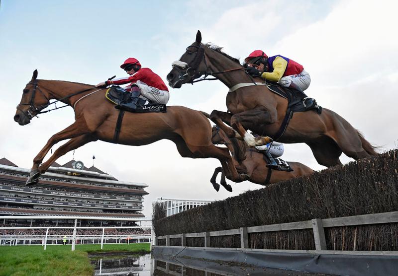 Cheltenham Gold Cup contender has roots in Laois 