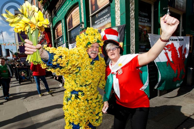 Daffodil Day