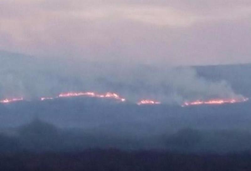 Gorse fire