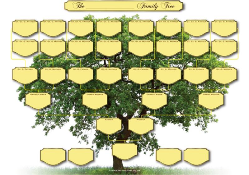 Have you ever wanted to trace your family tree?