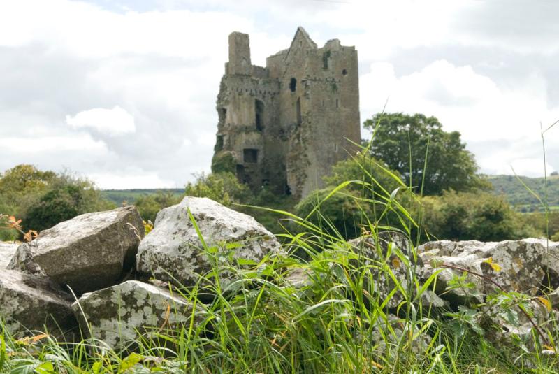 South Laois senery
