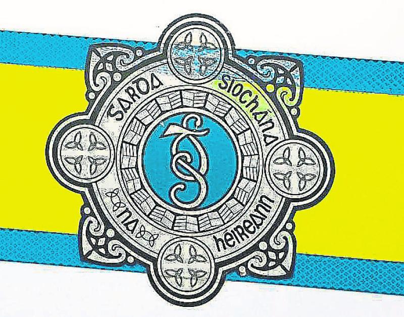 Portlaoise Gardaí seize cannabis plants valued at €250,000 in joint operation