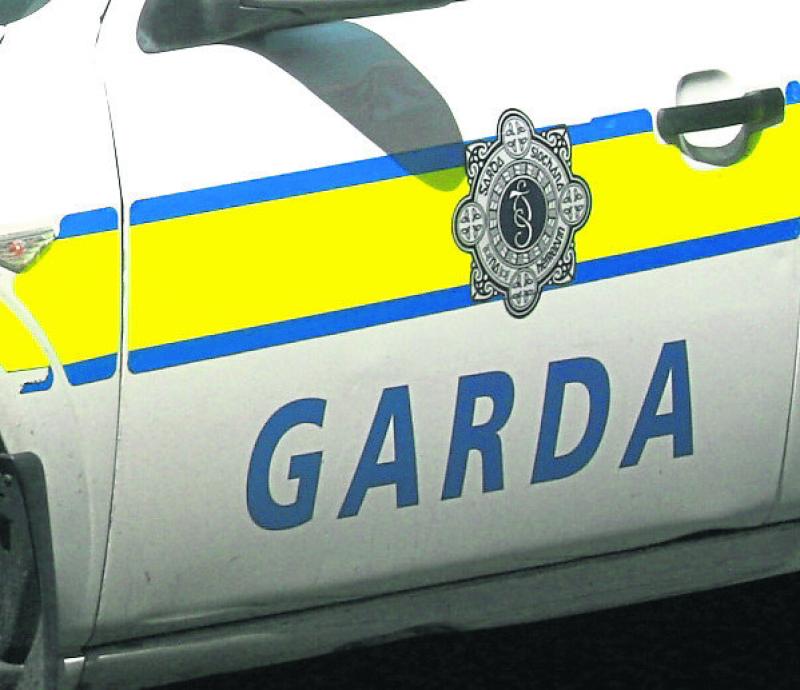 Woman kicked Garda in the eye at Portlaoise checkpoint 