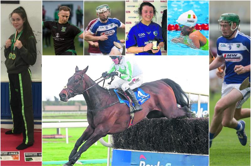 VOTE NOW - Downey's Auto Stop/Leinster Express Sports Star of the Month for April