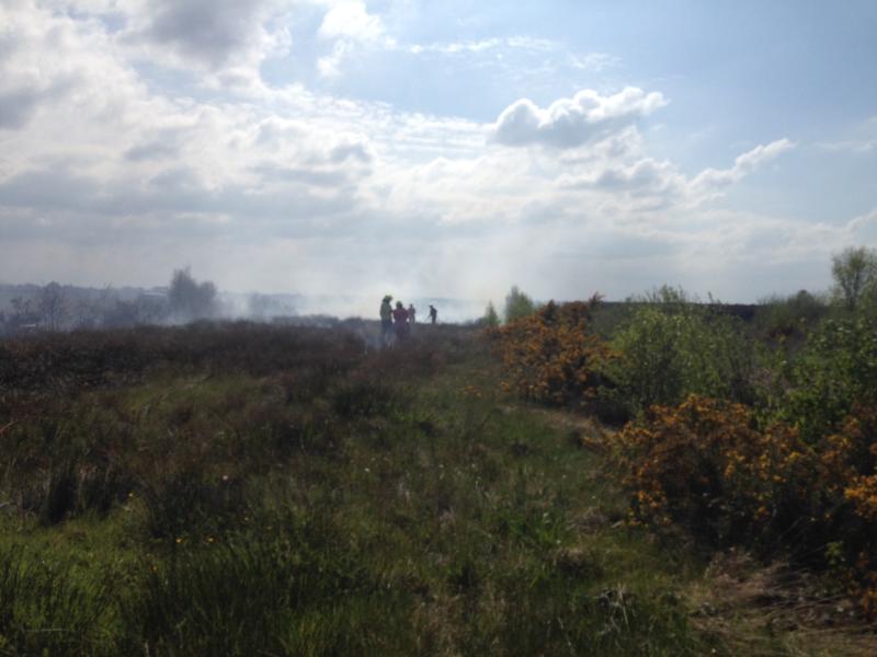 Illegal dumping  causes bog fire near Portlaoise