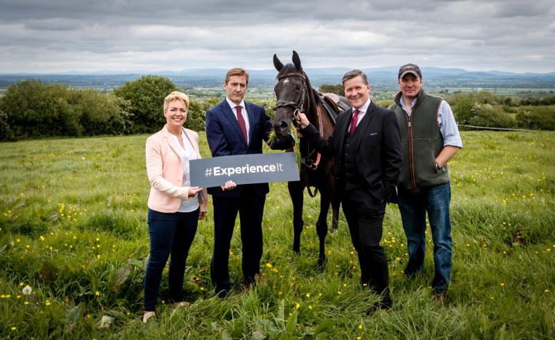 Ever dreamed of owning an Our Duke? Horse Racing Ireland invites you to 'experience ownership