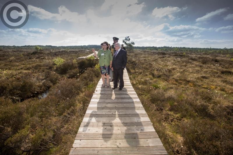 abbeyleix bog