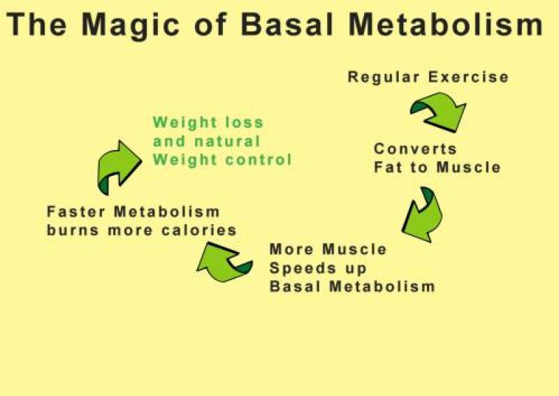 How many calories we can eat per day and still loose weight?
