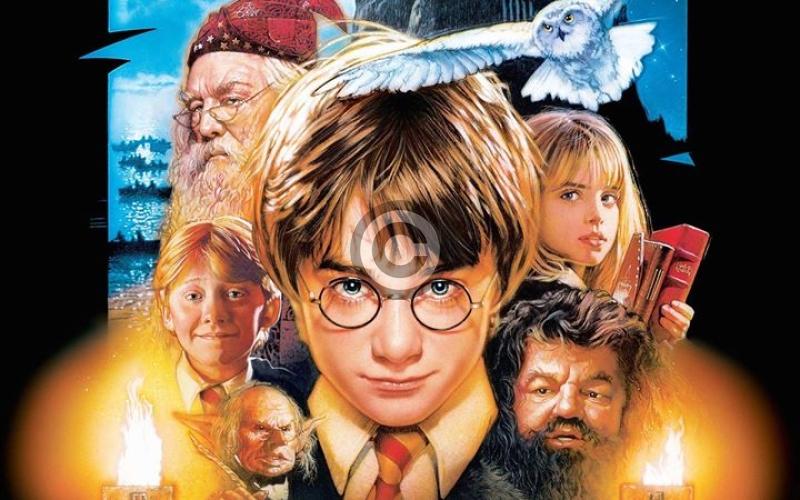 Harry Potter's 20th anniversary to be magically celebrated at a Laois library