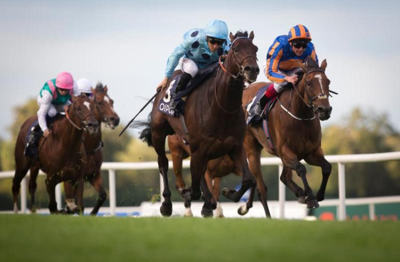 COMPETITION: Win FIVE tickets to the Dubai Duty Free Irish Derby