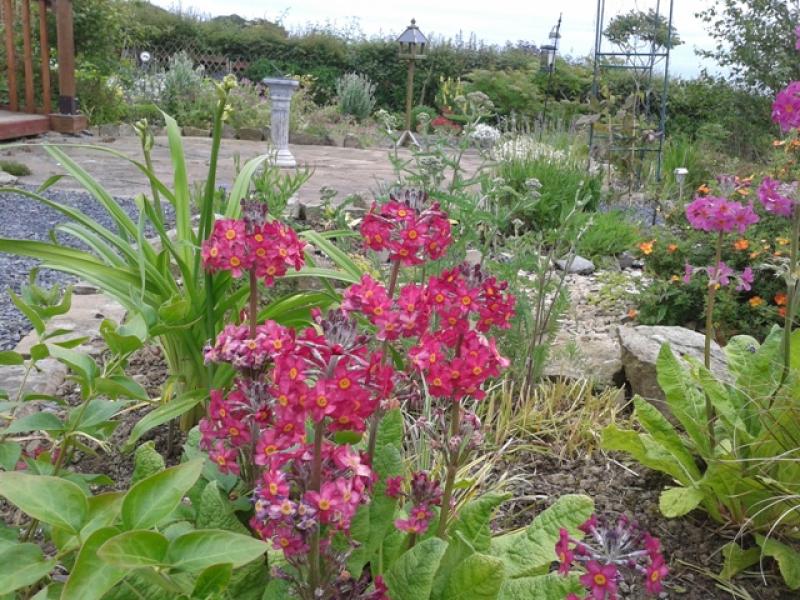 Garden Open Day in aid of Laois Hospice