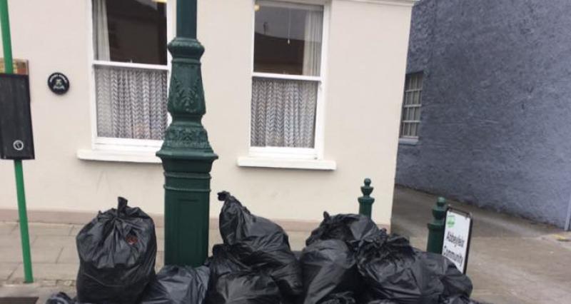 Illegal dumping 'shameful' at Abbeyleix Bog weeks after Michael D Higgins visit