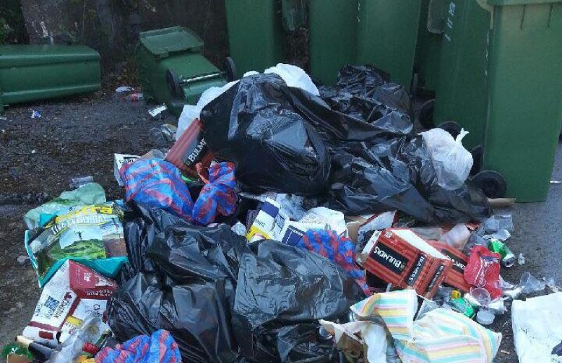 Portarlington French Festival success soured by 'disappointing' dumping
