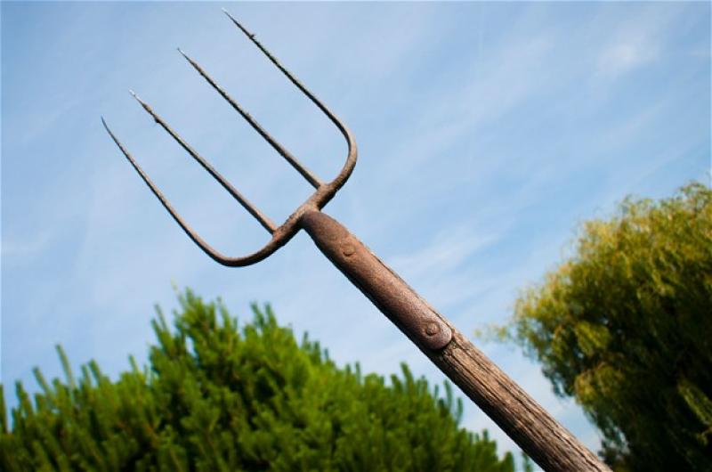 Alleged pitchfork attack in Monasterevin land dispute