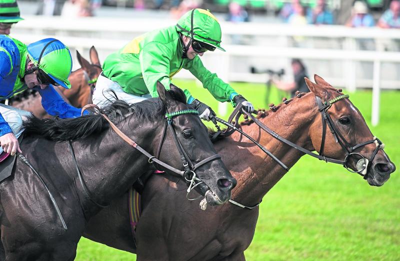 €6 bet lands lucky punter a whopping €7,500 