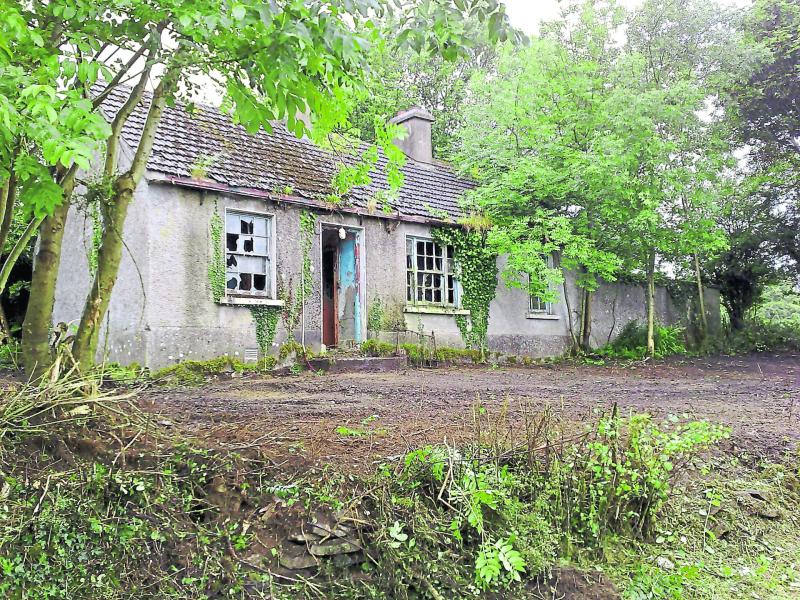 Government 'killing rural areas' as derelict houses ineligible for grant say Laois councillors