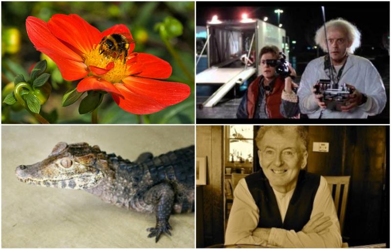 Five exciting events Laois people can look forward to during Heritage Week